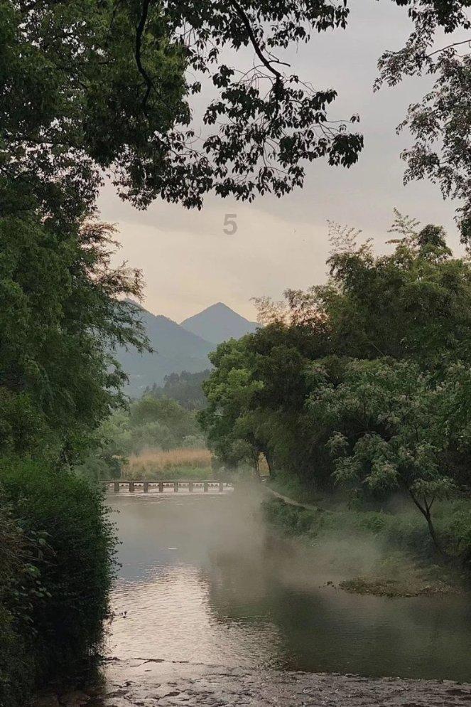 雷竞技比分