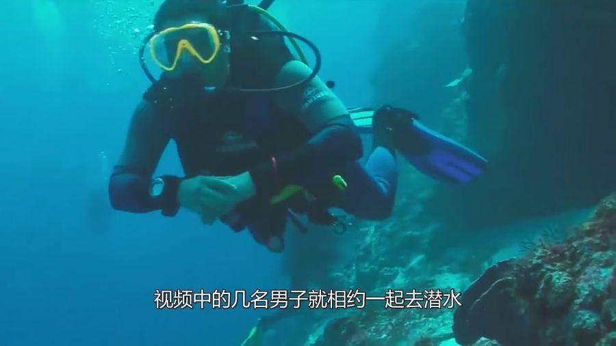 月光影视