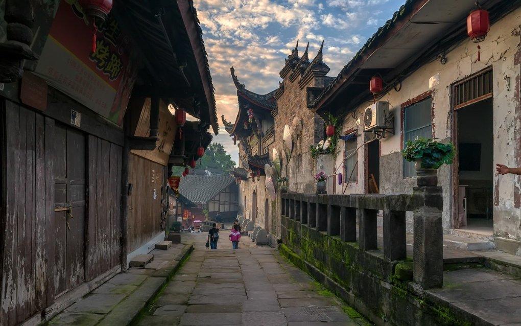 动物帮帮忙保卫家园